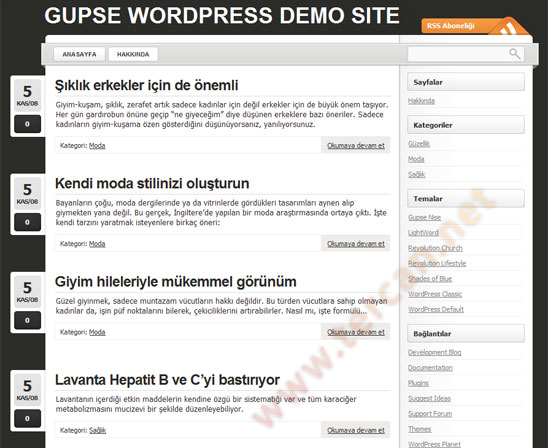 WordPress Lightword teması Türkçe çevirisi